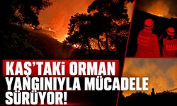 Kaş'taki orman yangınıyla mücadele sürüyor! Ekipler ikinci günde de sahada