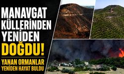 Manavgat küllerinden yeniden doğdu!