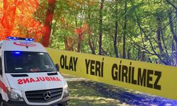Antalya'da ormanlık alanda intihar girişimi: Son anda kurtarıldı!