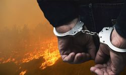 Alanya'daki orman yangınında sabotaj şüphesi: 1 kişi tutuklandı
