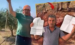 Antalya'da "Yılanı öldürdüm" dedi: 22 bin TL ceza aldı