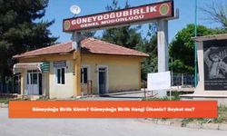 Güneydoğu Birlik Kimin? Güneydoğu Birlik Hangi Ülkenin? Boykot mu?