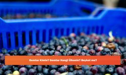 Gemtar Kimin? Gemtar Hangi Ülkenin? Boykot mu?