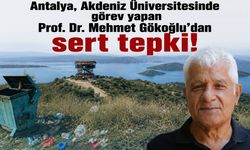 AÜ profesöründen sert tepki! "Hayvanlar gibi davranın"