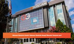 Günsan Elektrik Kimin? Günsan Elektrik Hangi Ülkenin? Boykot mu?