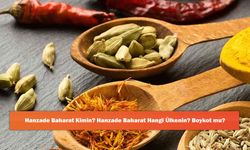 Hanzade Baharat Kimin? Hanzade Baharat Hangi Ülkenin? Boykot mu?