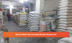Has Un Kimin? Has Un Hangi Ülkenin? Boykot mu?