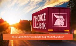 Horoz Lojistik Kimin? Horoz Lojistik Hangi Ülkenin? Boykot mu?