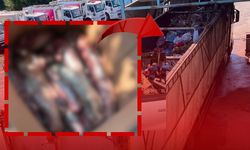 Antalya'da kaçak ve sağlıksız 300 kilogram et taşıdılar! Belediye ekipleri imha etti