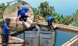 Antalya'da haşerelerle mücadeleye biyolojik kalkan