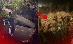 Antalya'da otomobil ağaçlık alana daldı! 1 yaralı