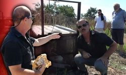Antalya'da kümesine dadanan tilkiyi 'film gibi' yakaladı
