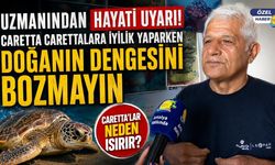 Uzmanı uyardı: “Caretta carettalara yaklaşmak ve ışık tutmak çok zararlı!”