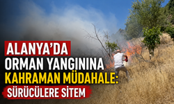 Alanya'da orman yangınına kahraman müdahale: Sürücülere sitem