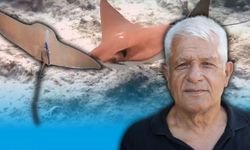 Antalya'da kayıtlara geçti! O tür Akdeniz'de ilk kez görüldü!