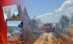 Antalya'da korkutan yangın! Alevler neyse ki evlere ulaşmadı