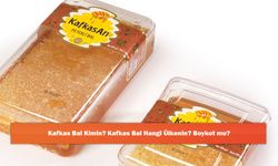 Kafkas Bal Kimin? Kafkas Bal Hangi Ülkenin? Boykot mu?