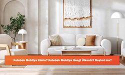 Kelebek Mobilya Kimin? Kelebek Mobilya Hangi Ülkenin? Boykot mu?