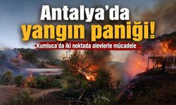 Antalya'da yangın paniği! Kumluca'da iki noktada alevlerle mücadele