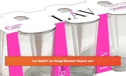 Lav Kimin? Lav Hangi Ülkenin? Boykot mu?