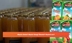 Meyöz Kimin? Meyöz Hangi Ülkenin? Boykot mu?