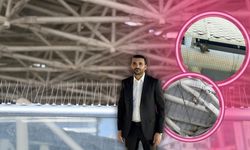 Antalya'da Nekropol Müzesi'nde kuş ölümleri sonrası yeni önlemler alındı!