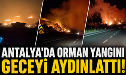 Antalya'da orman yangını geceyi aydınlattı!