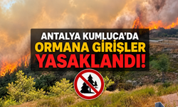 Kumluca'da peş peşe yangınlar sonrası ormanlara giriş yasaklandı!