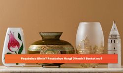 Paşabahçe Kimin? Paşabahçe Hangi Ülkenin? Boykot mu?