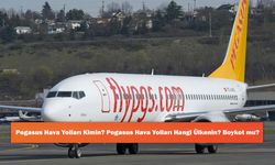 Pegasus Hava Yolları Kimin? Pegasus Hava Yolları Hangi Ülkenin? Boykot mu?