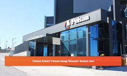 Pelsan Kimin? Pelsan Hangi Ülkenin? Boykot mu?