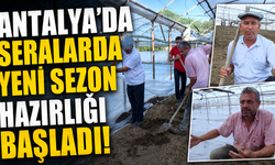 Antalya'da seralarda yeni sezon hazırlığı başladı!