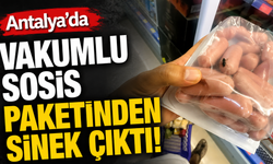 Antalya'da skandal görüntü! Vakumlu sosis paketinde sinek çıktı