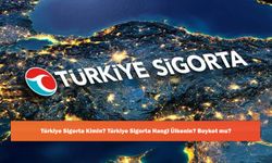 Türkiye Sigorta Kimin? Türkiye Sigorta Hangi Ülkenin? Boykot mu?