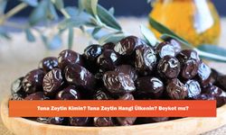 Tuna Zeytin Kimin? Tuna Zeytin Hangi Ülkenin? Boykot mu?