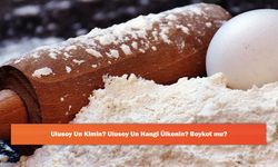 Ulusoy Un Kimin? Ulusoy Un Hangi Ülkenin? Boykot mu?