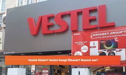 Vestel Kimin? Vestel Hangi Ülkenin? Boykot mu?