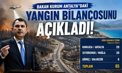 Bakan Kurum Antalya'daki yangın bilançosunu açıkladı!