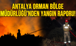 Antalya Orman Bölge Müdürlüğü'nden yangın raporu!