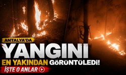 Antalya'da yangını en yakından görüntüledi! İşte o anlar
