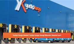 Yurtiçi Kargo Kimin? Yurtiçi Kargo Hangi Ülkenin? Boykot mu?