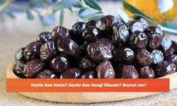 Zeytin Han Kimin? Zeytin Han Hangi Ülkenin? Boykot mu?