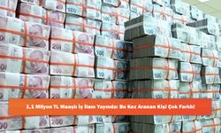 1,1 Milyon TL Maaşlı İş İlanı Yayında: Bu Kez Aranan Kişi Çok Farklı!