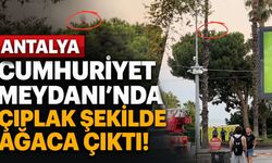 Antalya Cumhuriyet Meydanı’nda çıplak şekilde ağaca çıktı! İşte o anlar