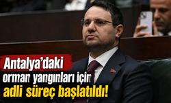 Antalya’daki orman yangınları için adli süreç başlatıldı!