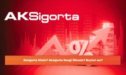 Aksigorta Kimin? Hangi Ülkenin? Boykot mu?