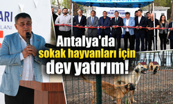 Antalya’da sokak hayvanları için dev yatırım!