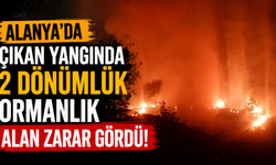 Alanya'da çıkan yangında 2 dönümlük ormanlık alan zarar gördü!