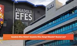 Anadolu Efes Kimin? Anadolu Efes Hangi Ülkenin? Boykot mu?