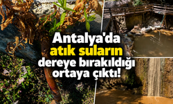 Antalya'da atık suların dereye bırakıldığı ortaya çıktı!
